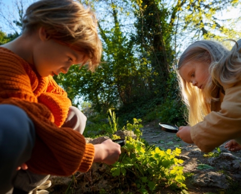 Kinder lernen auf dem Biohof-Kirchner über Natur und Tier